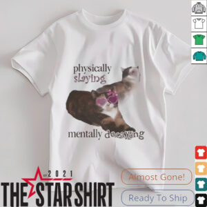 Snazzyseagull physically slaying mentally decaying shirt