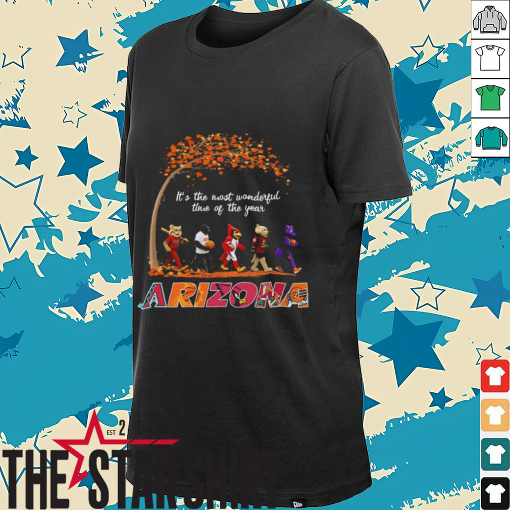 Beatles Abbey Road Inspired Shirt with Arizona Mascots