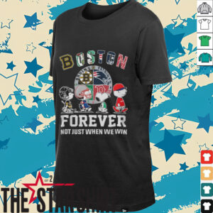 Boston Sports Team Peanuts Characters Forever Not Just When We...