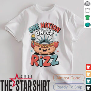 Land of the Rizz Funny Patriotic Day 4th Of July USA Flag T Shirt
