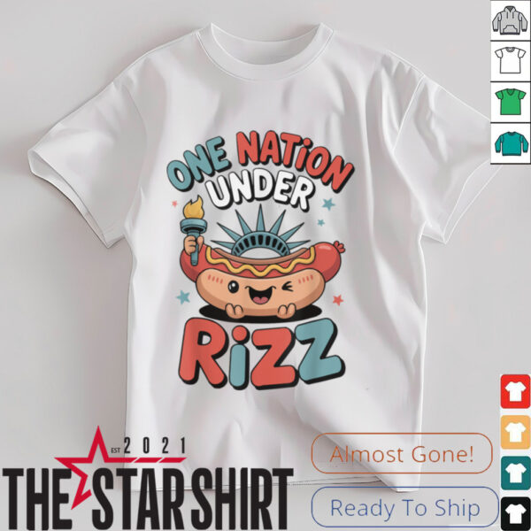 Land of the Rizz Funny Patriotic Day 4th Of July USA Flag T Shirt