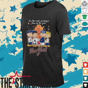 MLB New York Mets Baseball The Peanuts Characters It’s The...