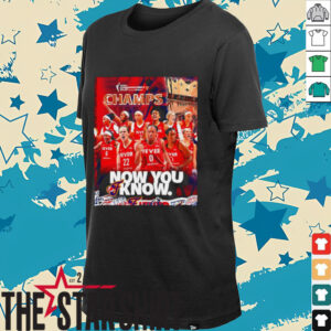 Indiana Fever 2025 WNBA Commissioner’s Cup Champs now you know shirt